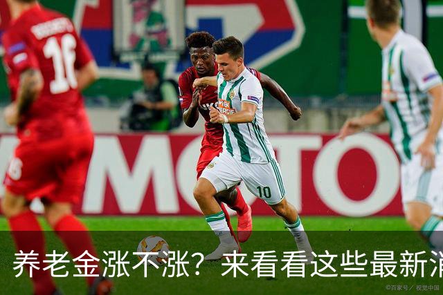 养老金涨不涨？来看看这些最新消息！